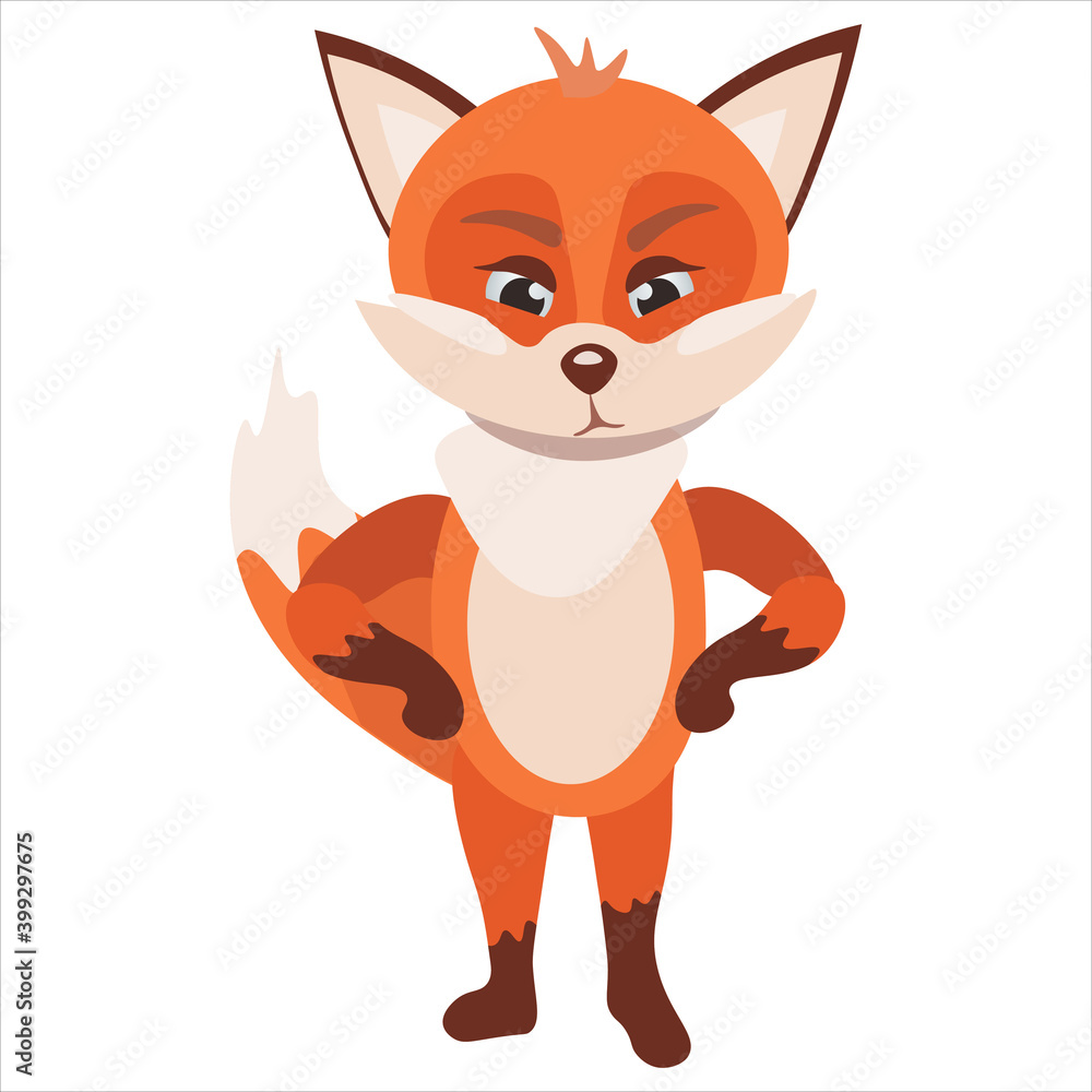 Little frown red fox standing angry Little frown red fox standing angry