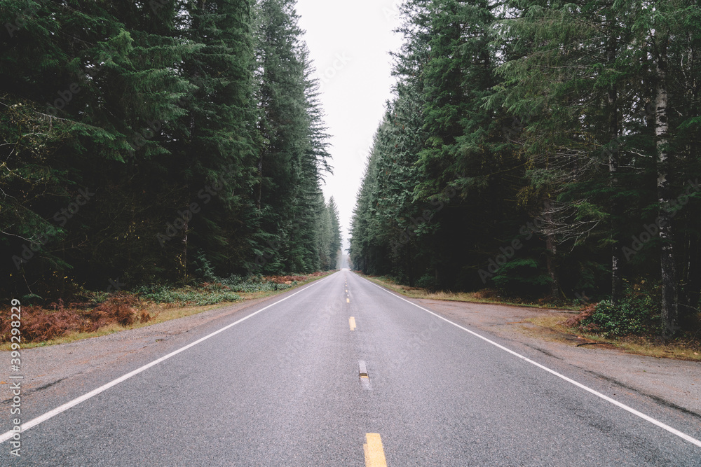 Obraz premium Empty asphalt road through forest