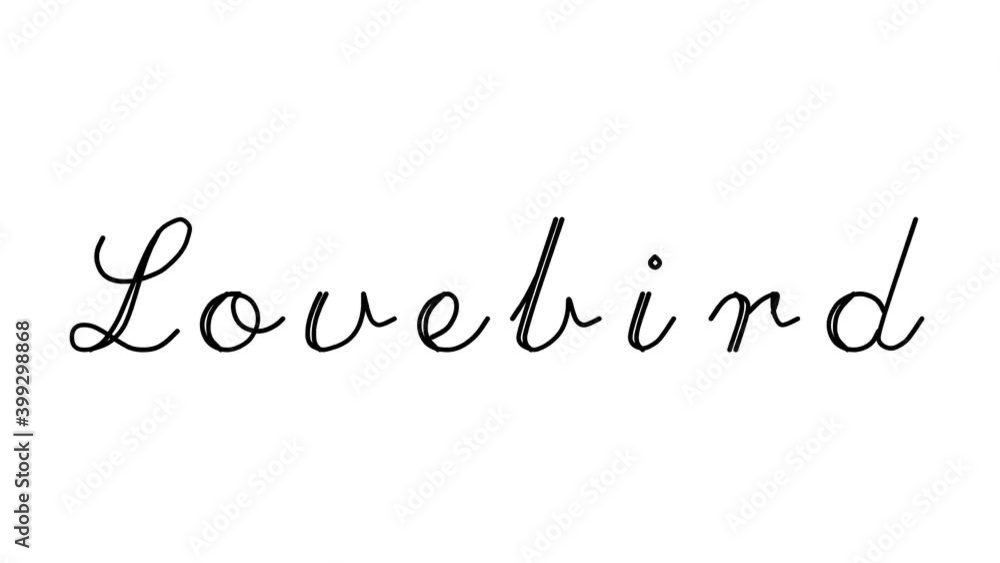 Lovebird Decorative Handwriting Animation in Six Cursive and Gothic Fonts Lovebird Decorative Handwriting Animation in Six Cursive and Gothic Fonts