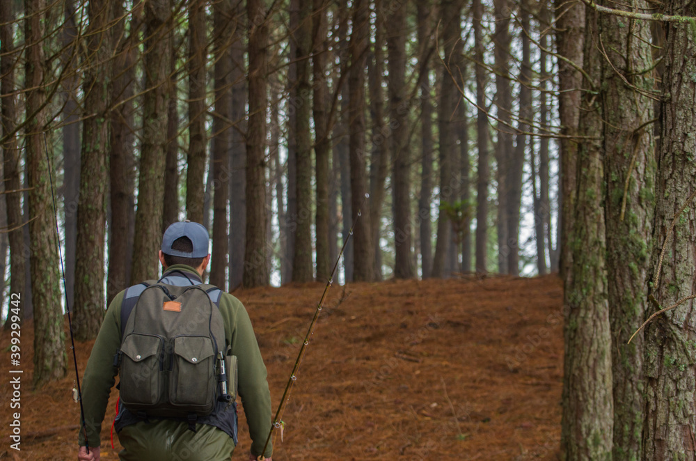 Fisherman walking in pine forest Fisherman walking in pine forest