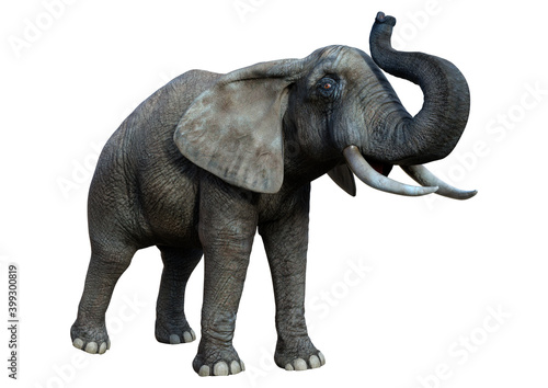 3D Rendering African Elephant on White