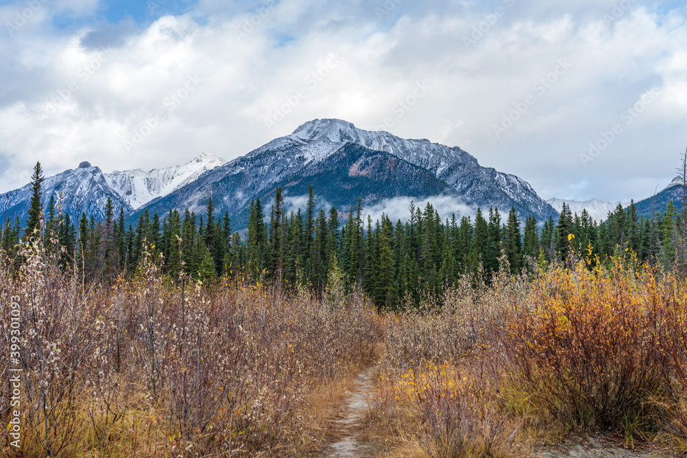 Snow capped Mount Lady MacDonald mountain in autumn. Beautiful natural scenery landscape at Canmore, Canadian Rockies, Alberta, Canada.