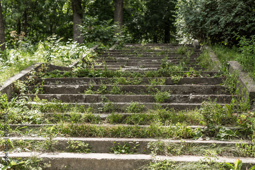 grey concrete steps up in the city park