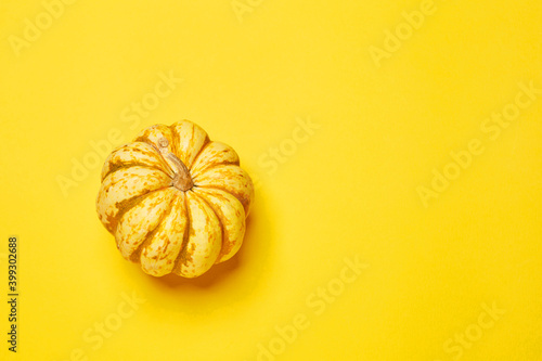 Single fresh raw clean isolated one alone yellow pumpkin on the bright solid yellow fond background photo