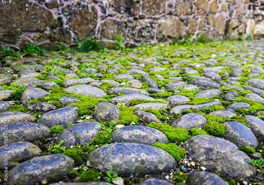 Cobblestone pathway with green moss