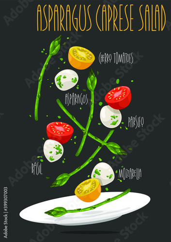 Asparagus caprese salad. Vector illustration