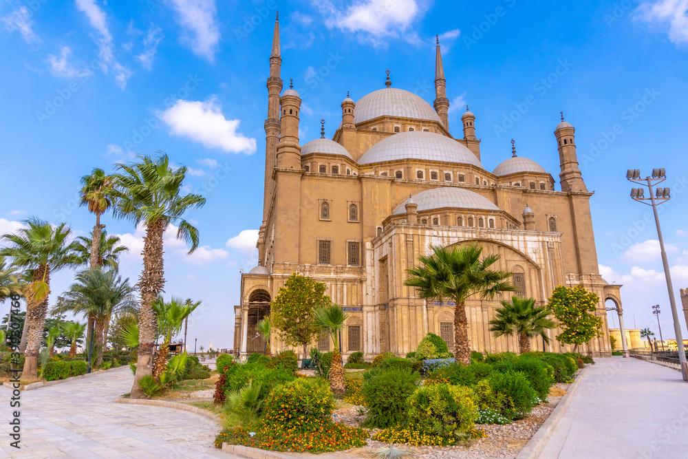 The impressive Alabaster Mosque in the city of Cairo next to a beautiful palm trees, in the capital of Egypt. Africa