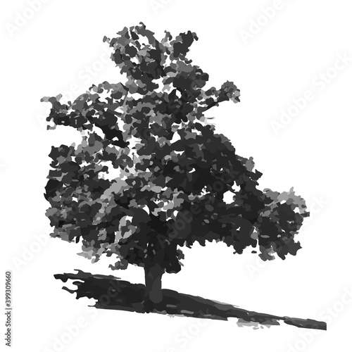 Tree silhouette isolated on white background. Oak tree icon. Black shape realistic tree with leaves silhouette. Outline icon for nature or landscape apps and websites. Stock vector illustration