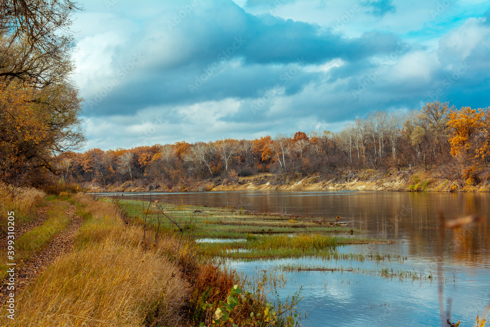 Fototapeta premium forest, autumn, forest thicket, nature, Russia, the world, recreation, sky, river