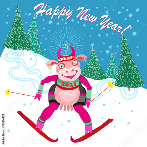 Cartoon cow goes skiing slalom between fir trees from the mountain. Humorous winter vacation tee shirt print with blue snowflakes and Chinese 2021 New Year holidays post card, party invitation