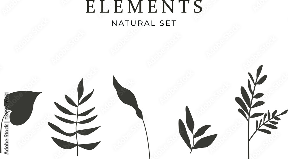 Set of vector plants and herbs. Hand drawn floral elements. Isolated vector illustration