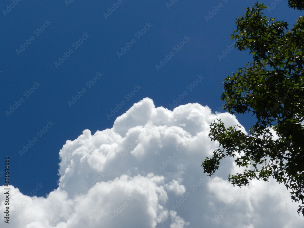 Uplifting inspiration bright beautiful sky day things are looking up Uplifting inspiration bright beautiful sky day things are looking up