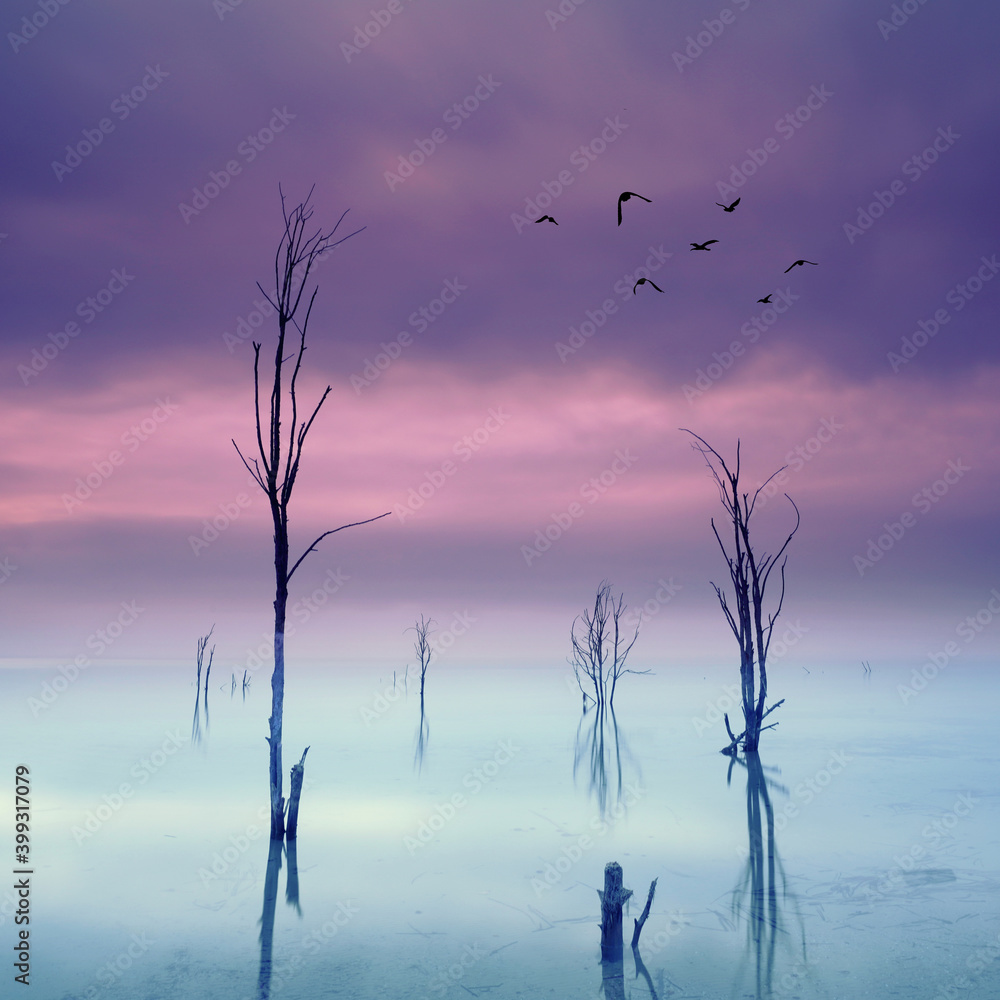 Fototapeta premium Bäume im Nebel am See