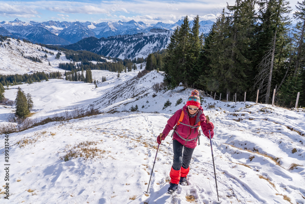 nice and active senior woman snowshoeing in deep powder snow in the Allgau alps, Bavaria, Germany nice and active senior woman snowshoeing in deep powder snow in the Allgau alps, Bavaria, Germany
