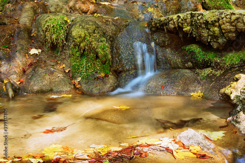 detail of mountain stream in Beusnita National Park