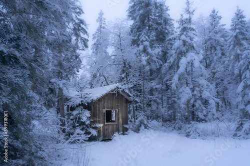 lonely wooden cottage  in a deep snowy fir forest in the Allgaeu Alps, Bavaria Germany © Uwe