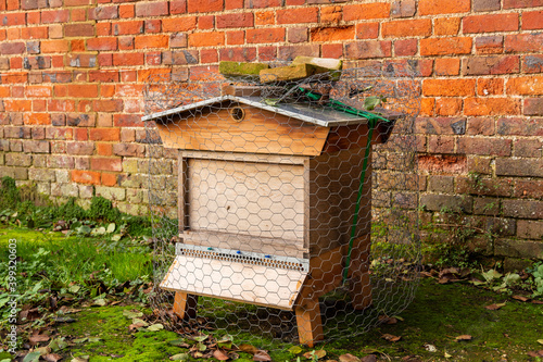 A Beehive stands in front of a brick wall in an allotment