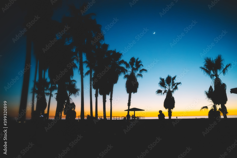 Silhouettes of travelers and palm trees during dawn