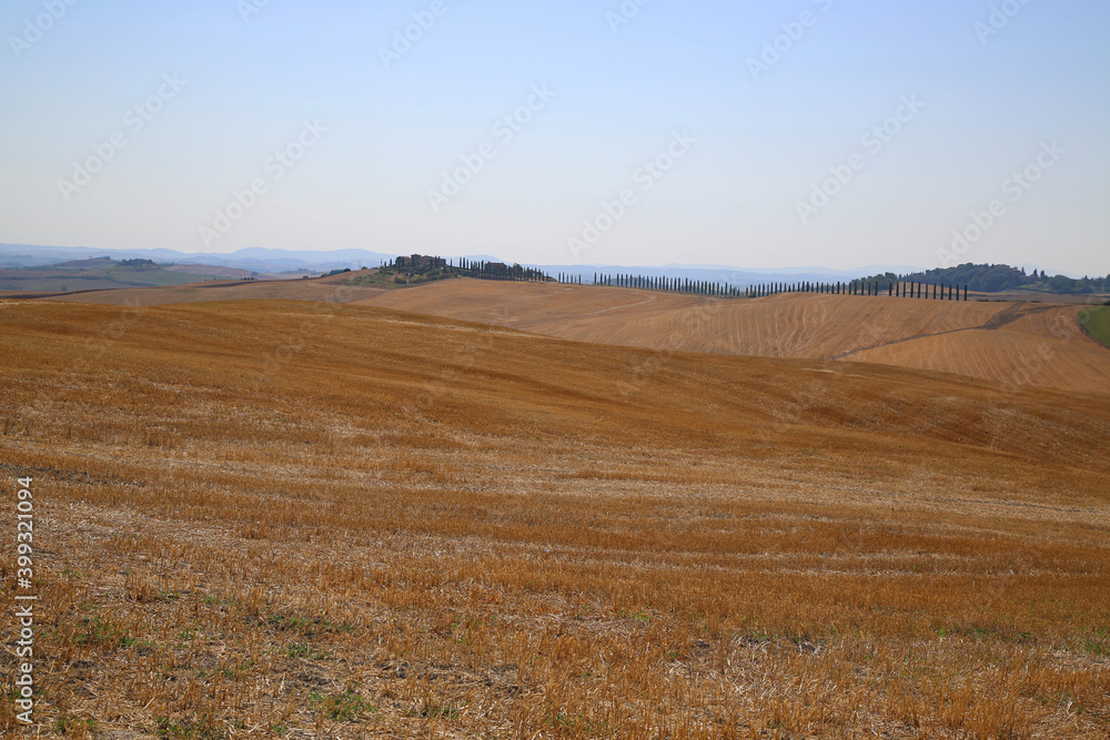 Fototapeta premium View of the Tuscan Countryside in Summer, Italy