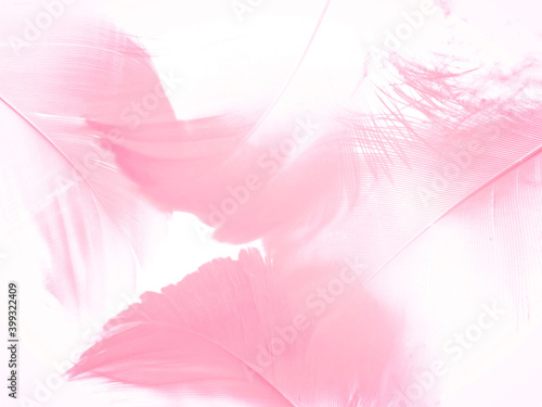 Beautiful abstract light pink feathers on white background   white feather frame texture on pink pattern and pink background  love theme wallpaper and valentines day