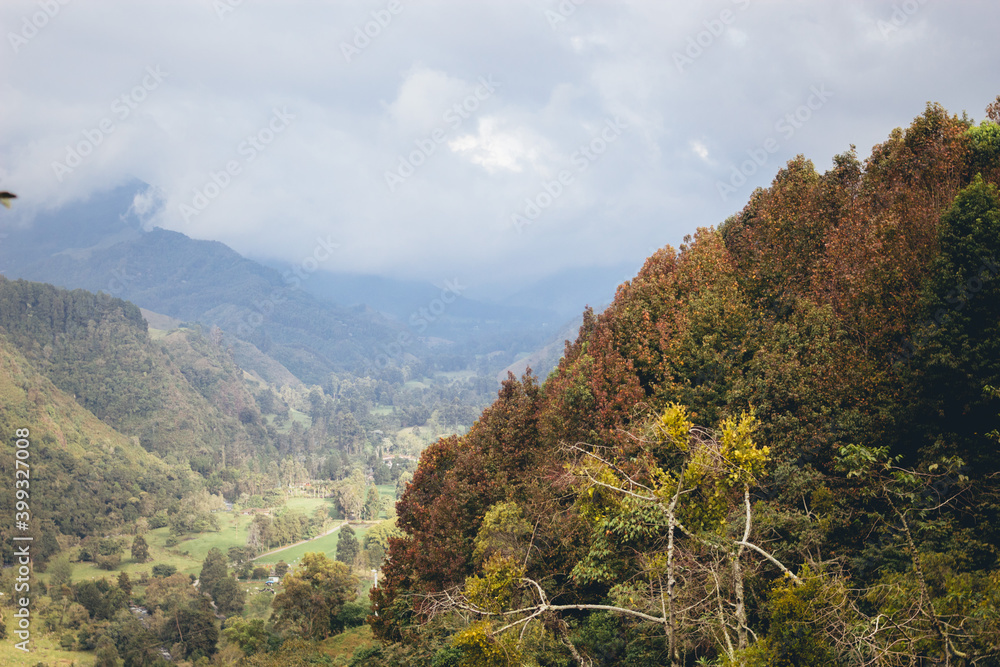 paisaje de bosque en otoño