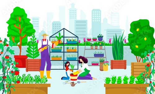 Urban garden at city building, vector illustration. Eco agriculture gardening at roof concept, plant nature grow at rooftop background. Flat organic growing at skyscraper roof, farming people.