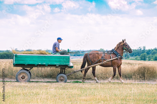 A horse pulls an old cart. Unusual mode of transport.