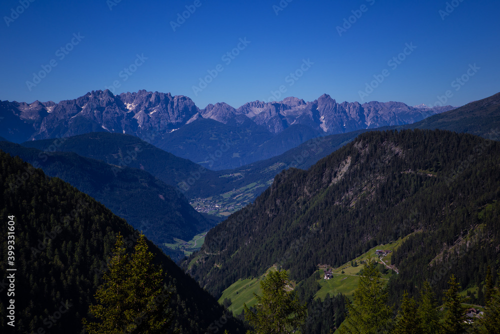 Alps mountain meadow tranquil summer view. Landscape with fog in mountains and rows of trees