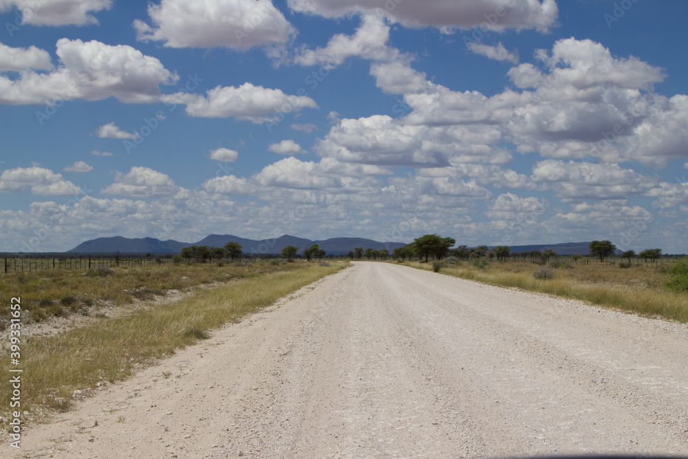 Fototapeta premium Schotterstraßen in Namibia