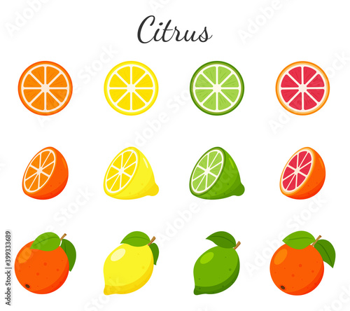 Set of fruit and citrus icons. Orange, grapefruit, lime and lemon. Whole fruit, half cut and slices. Collection in a flat design. Color vector illustration isolated on a white background.