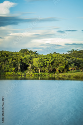 Lake shores protected and covered by trees