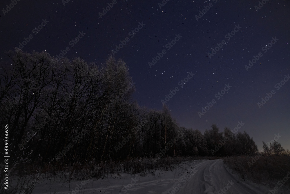 Forest, winter, starry night, snow, road. Scenery.