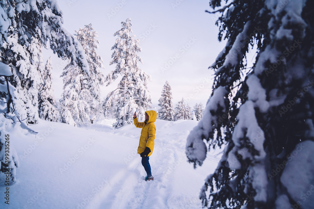 Caucasian female blogger in winter coat standing on wild environment explore destination making pictures on smartphone, happy woman travel using camera on mobile phone taking selfie in wood
