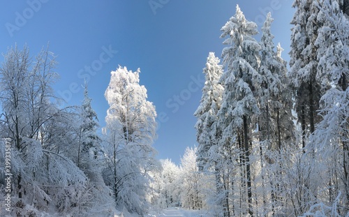 Road to Lysa hora in winter Beskydy, Czech republic. Snowy trees, sunny day, nature covered with snow and ice.