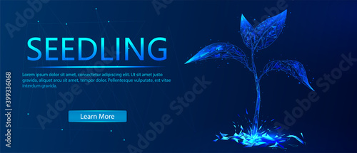 Sprout or seedling. The concept of growing plants. Abstract illustration isolated on a blue background. Save the planet, nature, environment. Grow life, polygon, triangles, low poly.