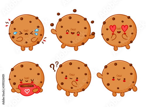Cute funny cookie with chocolate chips set