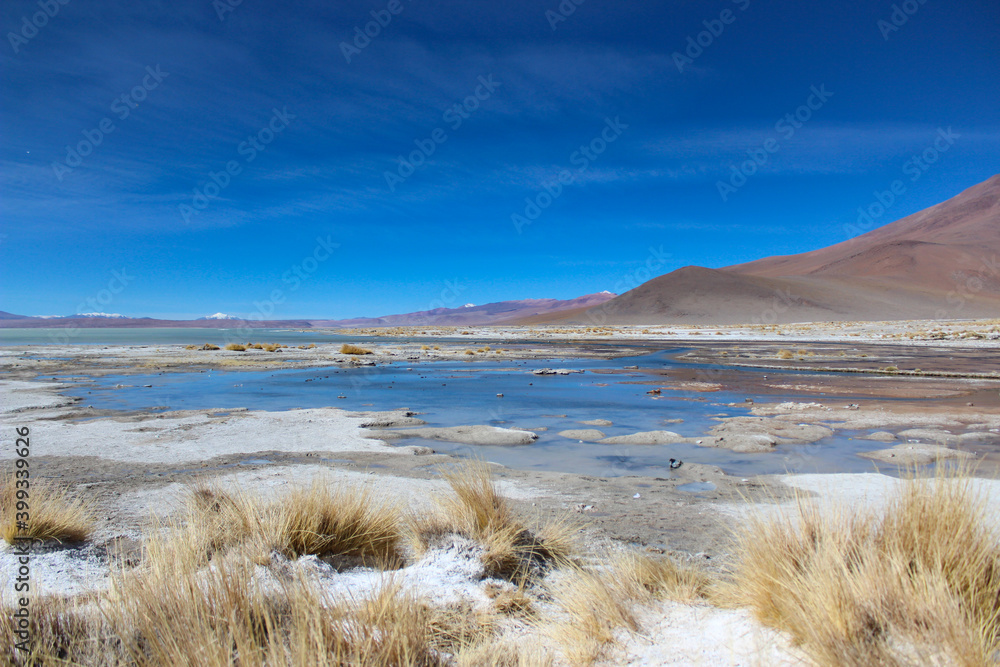 Shallow salt lake in the highlands of the Altiplano in southwest Bolivia, within Eduardo Avaroa Andean Fauna National Reserve and close to the border with Chile Shallow salt lake in the highlands of the Altiplano in southwest Bolivia, within Eduardo Avaroa Andean Fauna National Reserve and close to the border with Chile