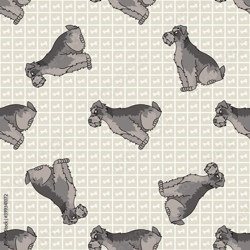 Cute cartoon Schnauzer sitting vector clipart. Pedigree kennel dog breed for obedience training. Purebred domestic puppy for dog show illustration mascot. Isolated canine hunting breed. 