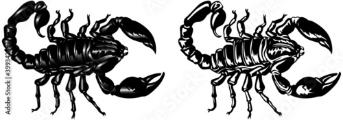 Graphic scorpions on a white background. Tattoo style, vector illustration.