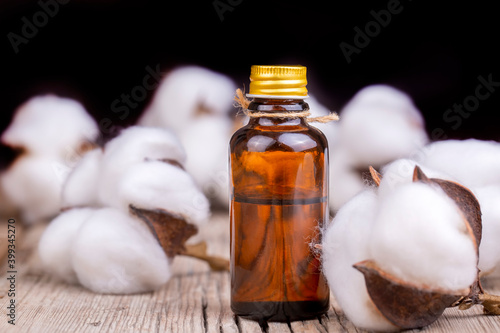 Cotton plant ball and cotto...