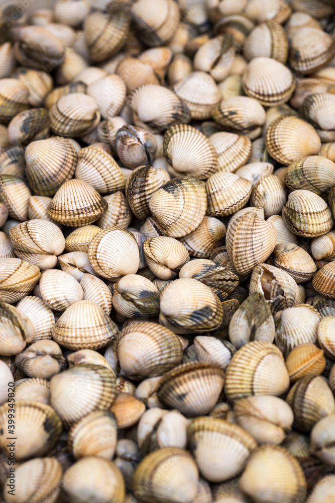 Pile of common cockle or berberecho clams (Cerastoderma edule) for sale in indoor food market, Spanish city of Malaga