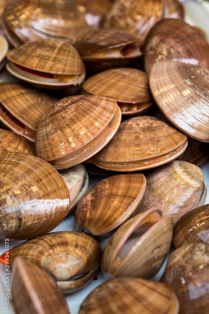 Vertical full-frame closeup of edible saltwater fresh bivalve molluscs in the shell. Vertical full-frame closeup of edible saltwater fresh bivalve molluscs in the shell.