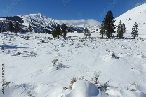 Winter scenery around Twin Lakes Resort, just outside the town of Bridgeport, in Mono County, Sierra Nevada Mountains, California.