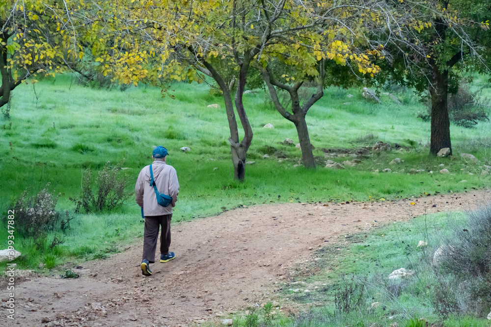 A Hiker on a Nature Path A Hiker on a Nature Path