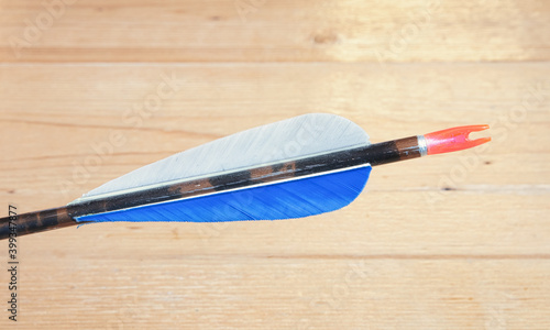 Worn Arrow Fletching and Nock photo