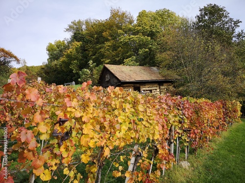 Südoststeiermark, Weststeiermark und südsteiermark Weinstraße im Herbst