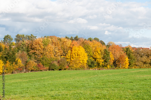 the colorful deciduous trees in an autumn landscape
