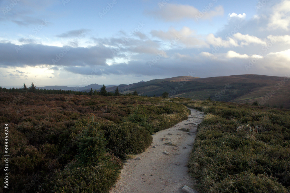 A short December day on the Dublin Mountains trail.Ireland. A short December day on the Dublin Mountains trail.Ireland.