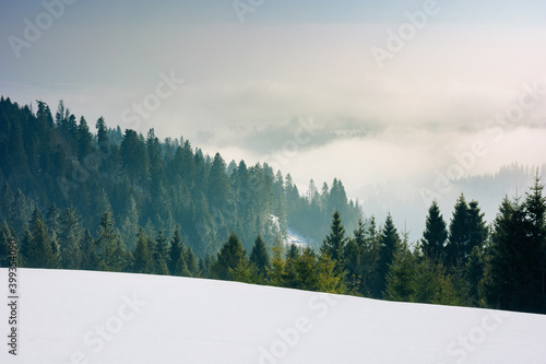 approaching blizzard in mountain landscape. spruce trees on snow covered meadow. bad weather condition in winter. fog and clouds in the distant valley