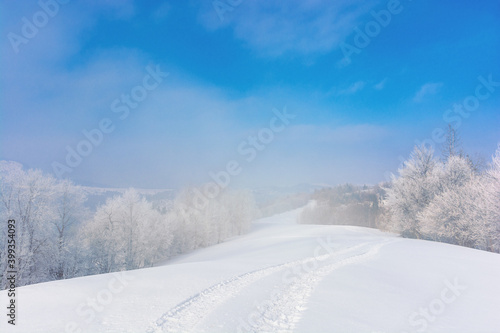 trees in mist on a snow covered hill. fairy tale winter mountain scenery. frosty weather on a sunny morning © Pellinni